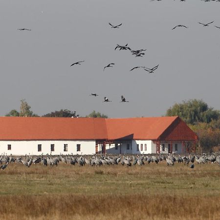 Bibic Nature Lodge Balmazujvaros Ngoại thất bức ảnh