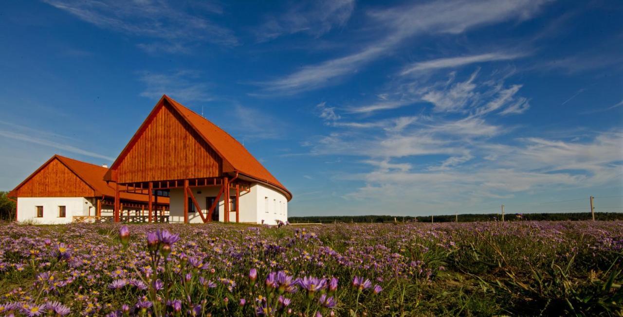 Bibic Nature Lodge Balmazujvaros Ngoại thất bức ảnh