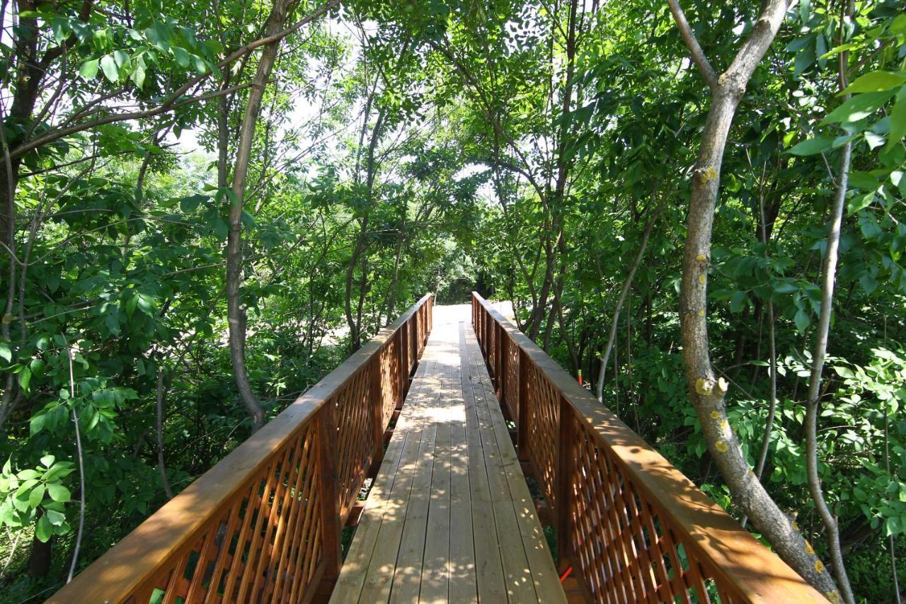 Bibic Nature Lodge Balmazujvaros Ngoại thất bức ảnh